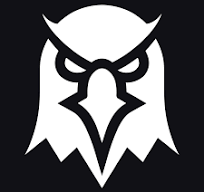 dexscreener link